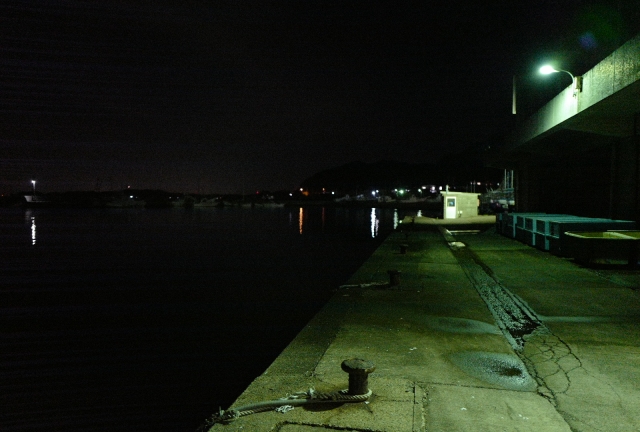  Night fishing
